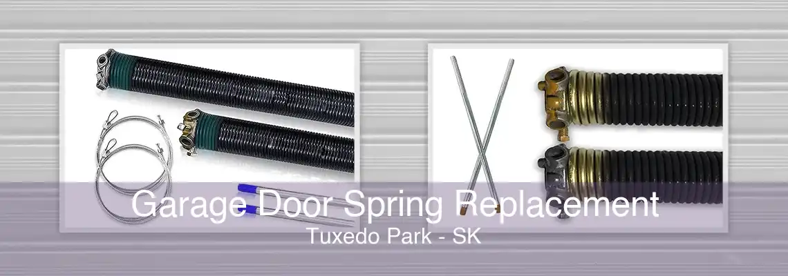 Garage Door Spring Replacement Tuxedo Park - SK