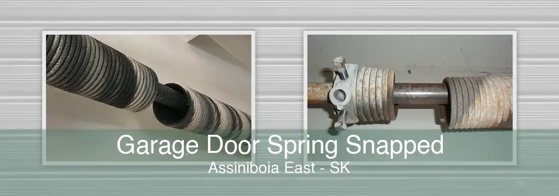 Garage Door Spring Snapped Assiniboia East - SK