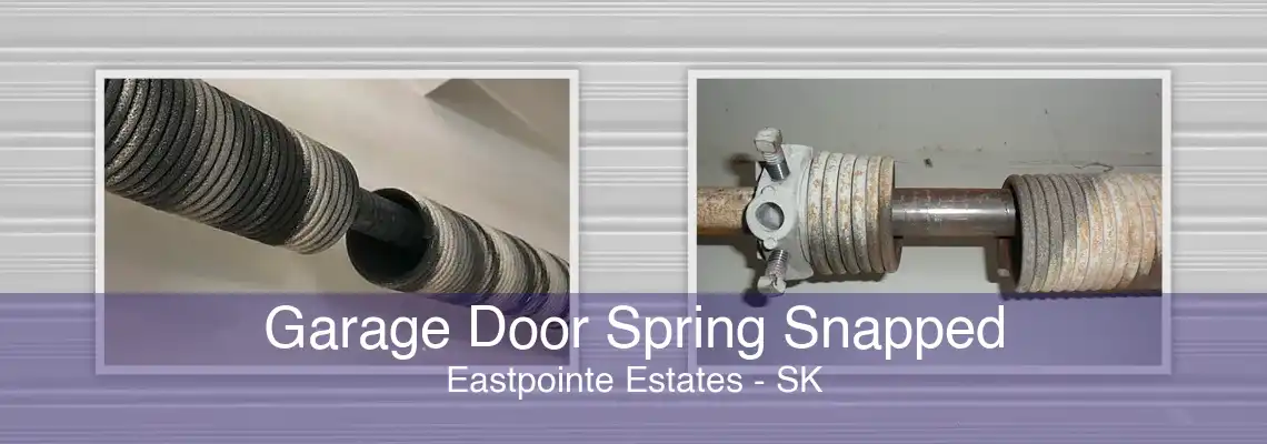Garage Door Spring Snapped Eastpointe Estates - SK