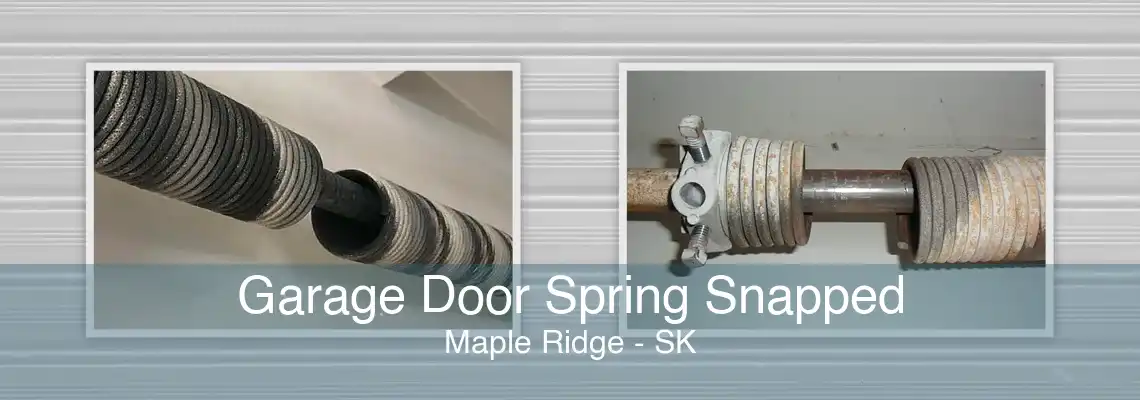 Garage Door Spring Snapped Maple Ridge - SK