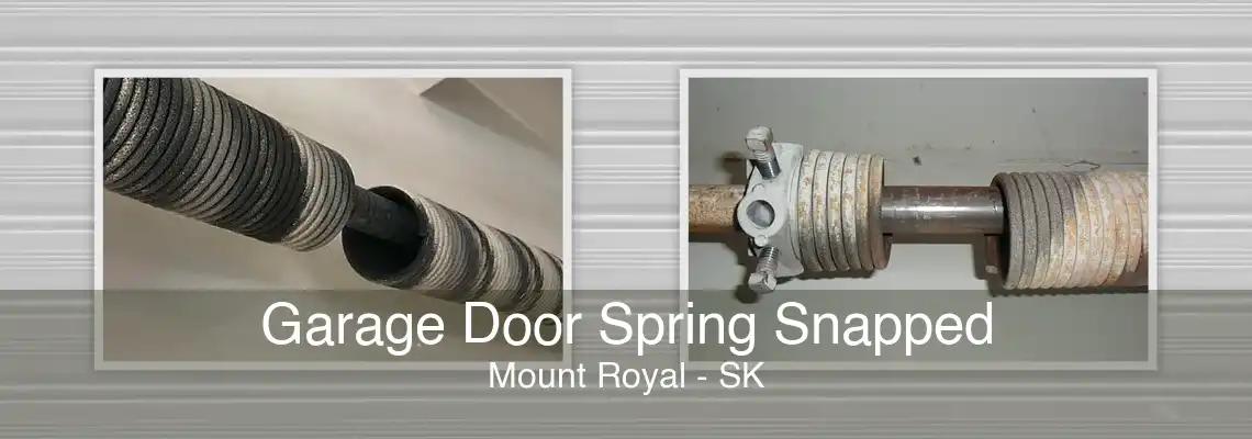 Garage Door Spring Snapped Mount Royal - SK
