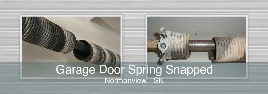 Garage Door Spring Snapped Normanview - SK