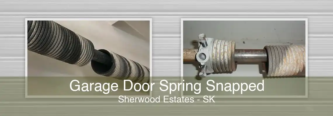 Garage Door Spring Snapped Sherwood Estates - SK
