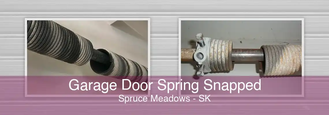 Garage Door Spring Snapped Spruce Meadows - SK