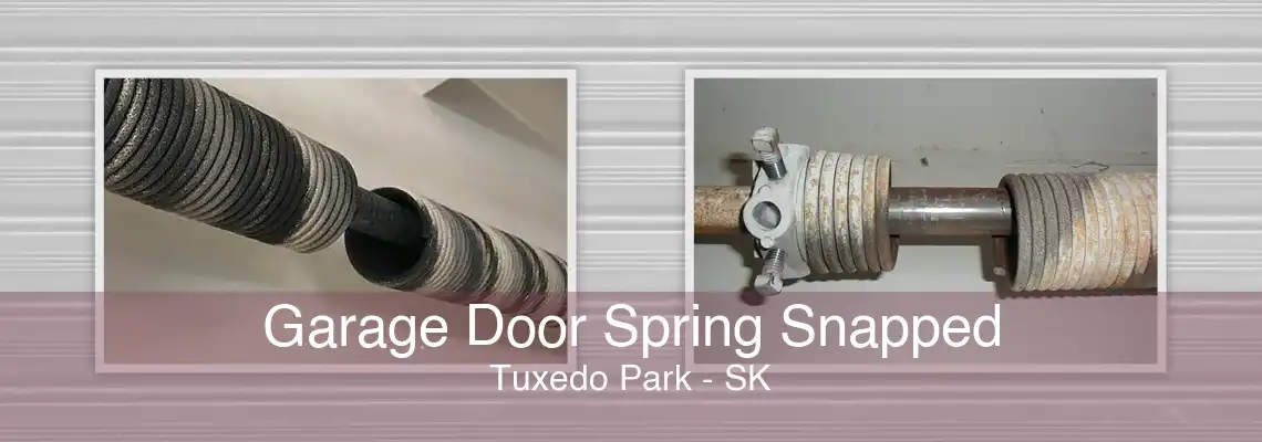 Garage Door Spring Snapped Tuxedo Park - SK