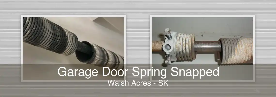 Garage Door Spring Snapped Walsh Acres - SK