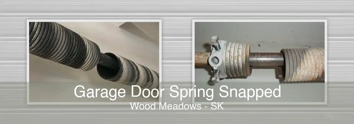 Garage Door Spring Snapped Wood Meadows - SK