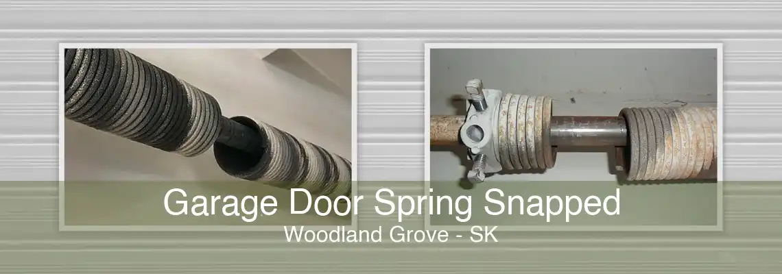 Garage Door Spring Snapped Woodland Grove - SK