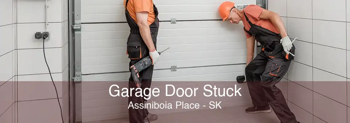 Garage Door Stuck Assiniboia Place - SK