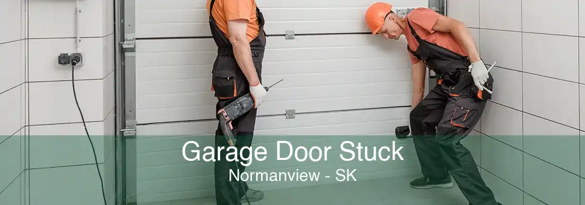 Garage Door Stuck Normanview - SK