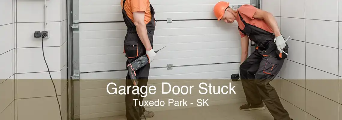 Garage Door Stuck Tuxedo Park - SK