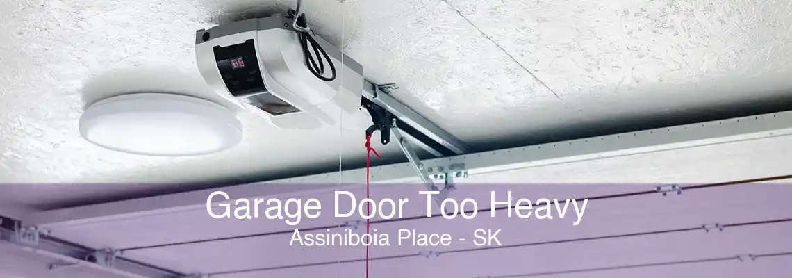 Garage Door Too Heavy Assiniboia Place - SK