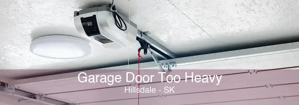 Garage Door Too Heavy Hillsdale - SK