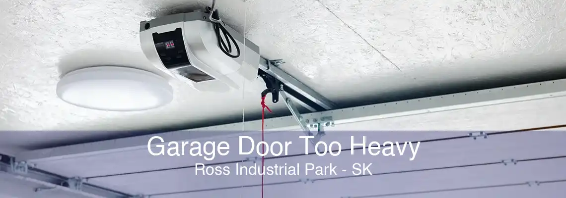 Garage Door Too Heavy Ross Industrial Park - SK