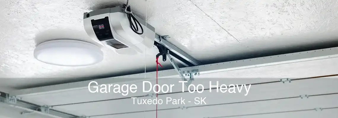 Garage Door Too Heavy Tuxedo Park - SK