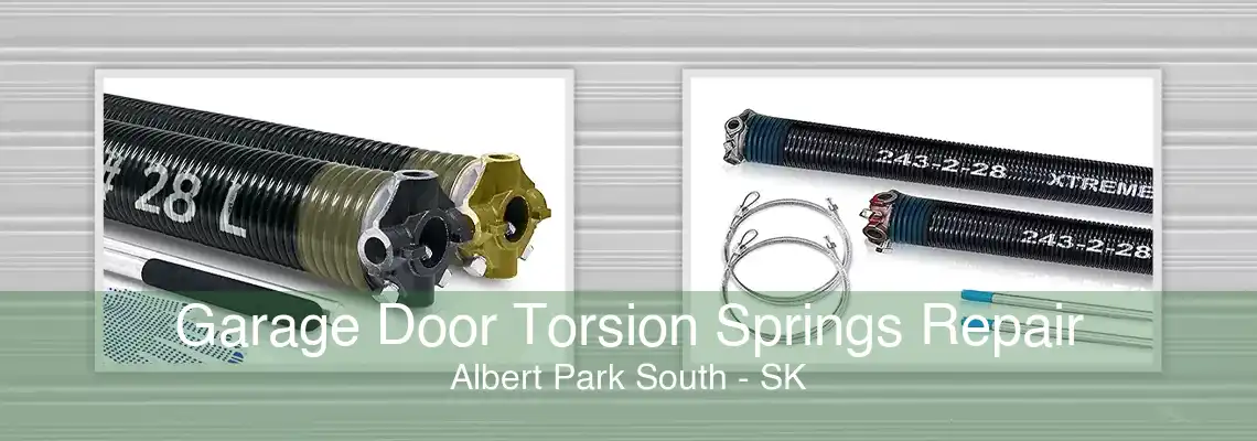 Garage Door Torsion Springs Repair Albert Park South - SK
