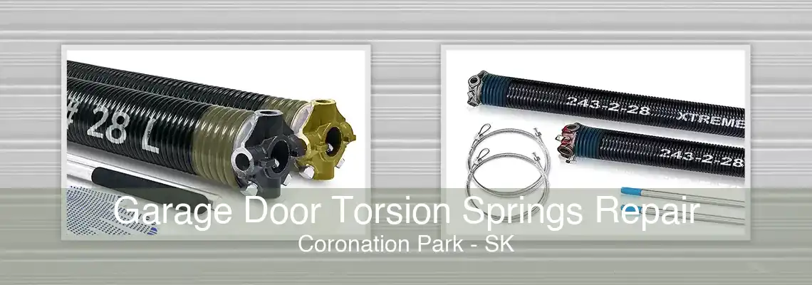 Garage Door Torsion Springs Repair Coronation Park - SK