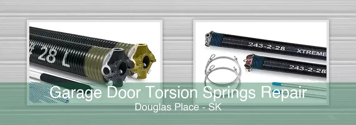 Garage Door Torsion Springs Repair Douglas Place - SK