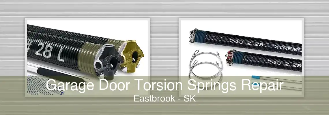 Garage Door Torsion Springs Repair Eastbrook - SK