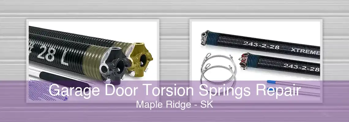 Garage Door Torsion Springs Repair Maple Ridge - SK
