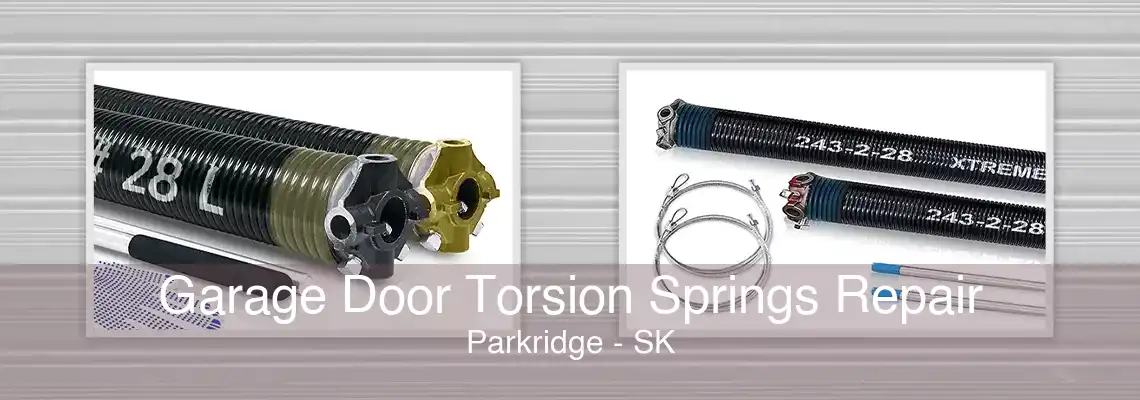 Garage Door Torsion Springs Repair Parkridge - SK