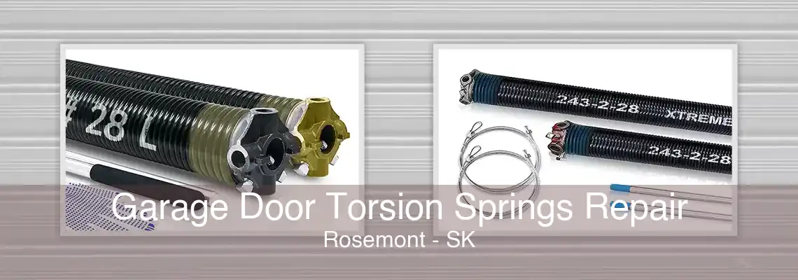 Garage Door Torsion Springs Repair Rosemont - SK
