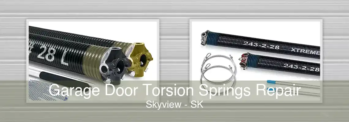 Garage Door Torsion Springs Repair Skyview - SK