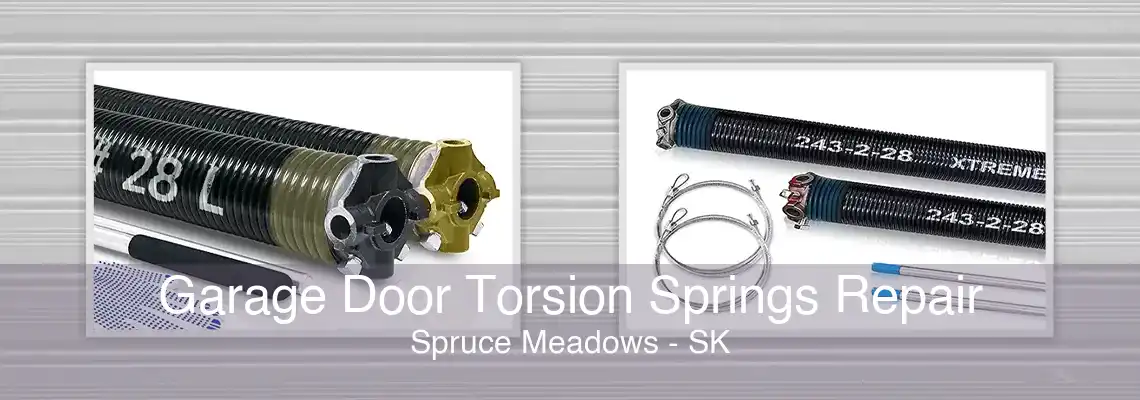 Garage Door Torsion Springs Repair Spruce Meadows - SK