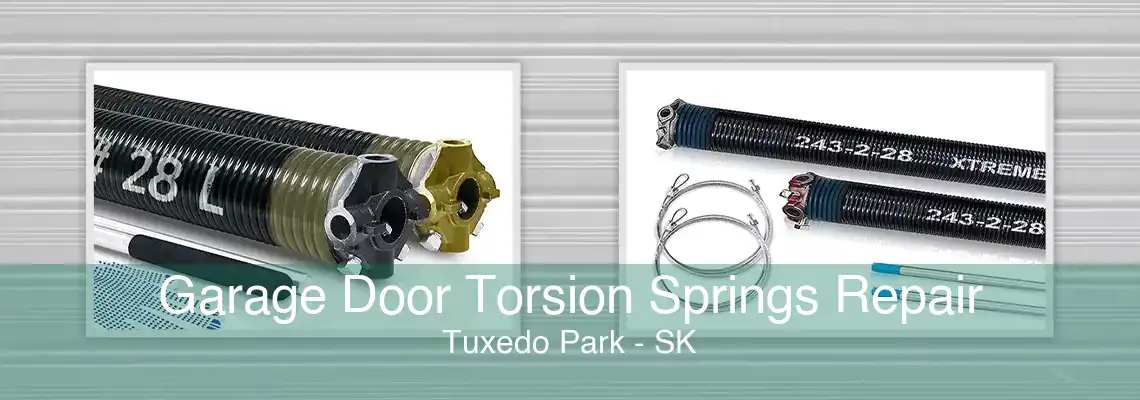 Garage Door Torsion Springs Repair Tuxedo Park - SK