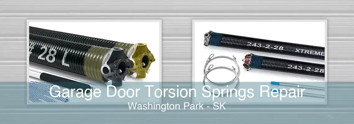 Garage Door Torsion Springs Repair Washington Park - SK