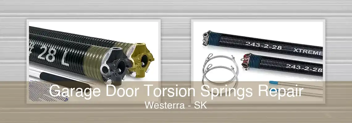 Garage Door Torsion Springs Repair Westerra - SK