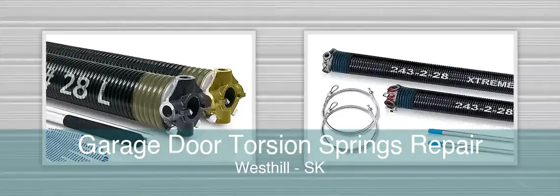 Garage Door Torsion Springs Repair Westhill - SK
