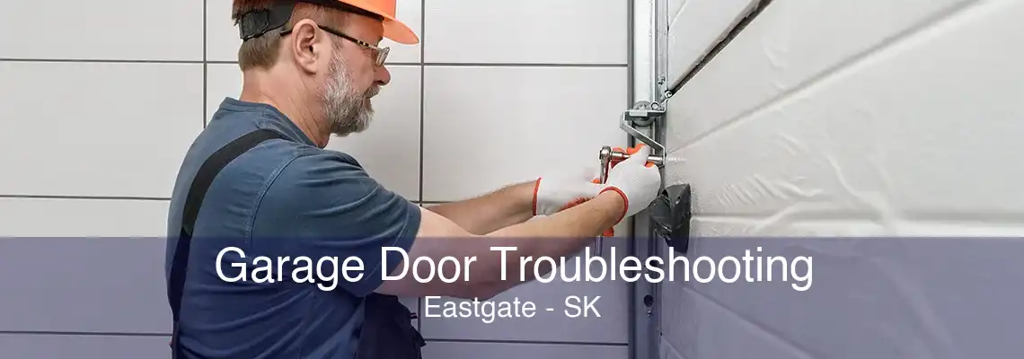 Garage Door Troubleshooting Eastgate - SK