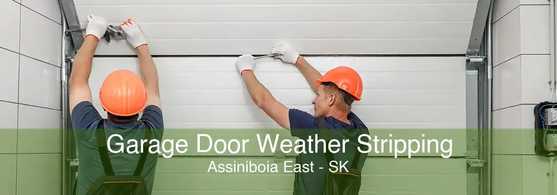 Garage Door Weather Stripping Assiniboia East - SK