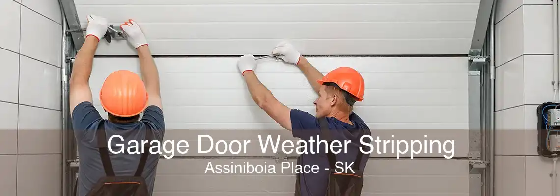 Garage Door Weather Stripping Assiniboia Place - SK