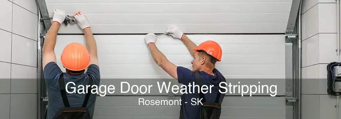 Garage Door Weather Stripping Rosemont - SK