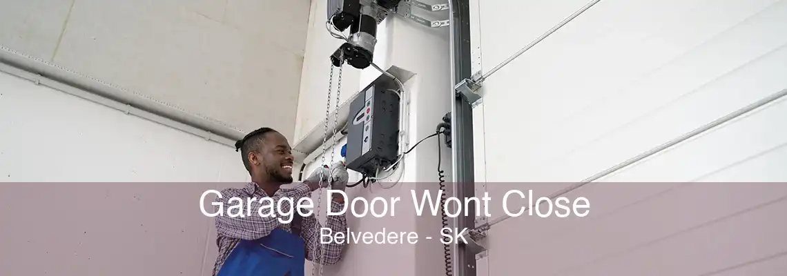 Garage Door Wont Close Belvedere - SK