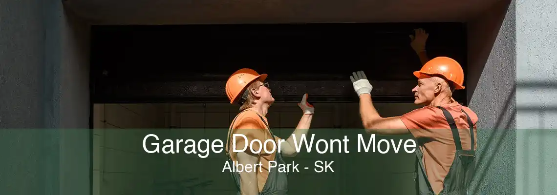 Garage Door Wont Move Albert Park - SK