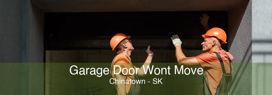 Garage Door Wont Move Chinatown - SK