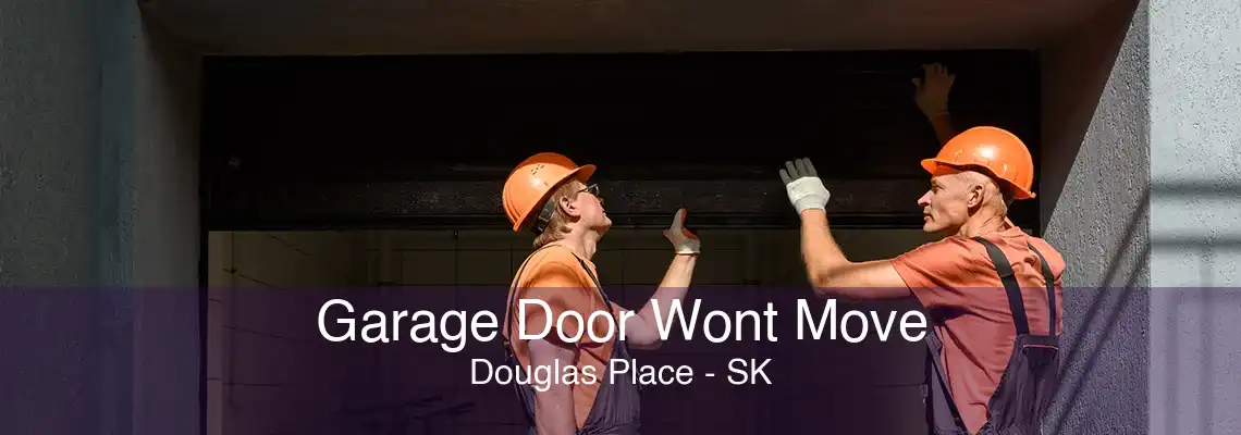 Garage Door Wont Move Douglas Place - SK