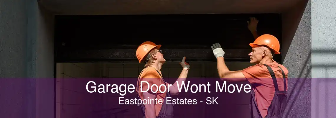 Garage Door Wont Move Eastpointe Estates - SK