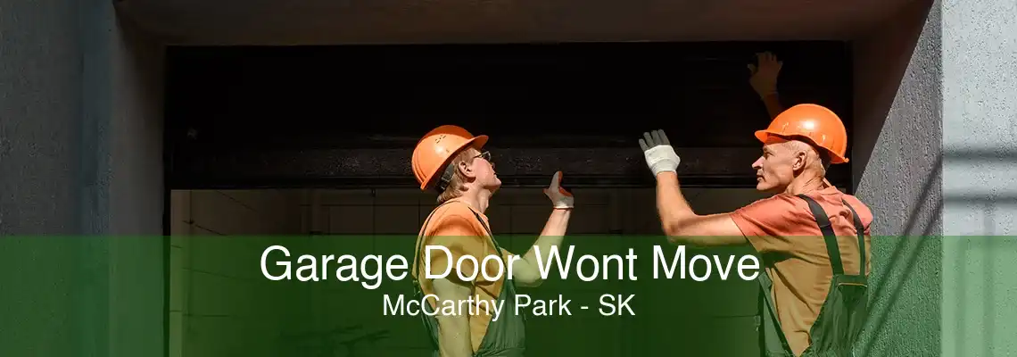 Garage Door Wont Move McCarthy Park - SK