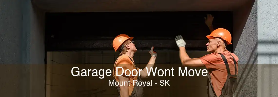 Garage Door Wont Move Mount Royal - SK