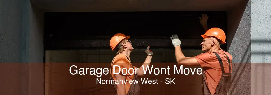 Garage Door Wont Move Normanview West - SK