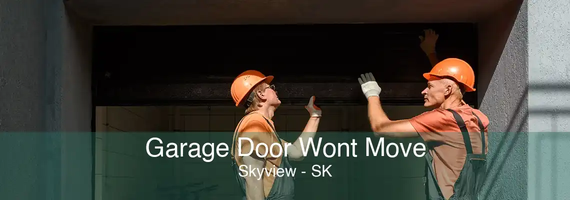 Garage Door Wont Move Skyview - SK