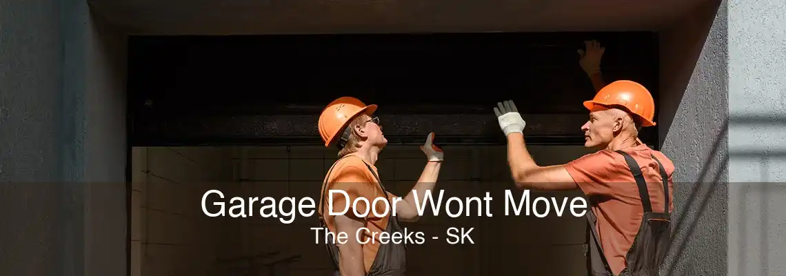 Garage Door Wont Move The Creeks - SK
