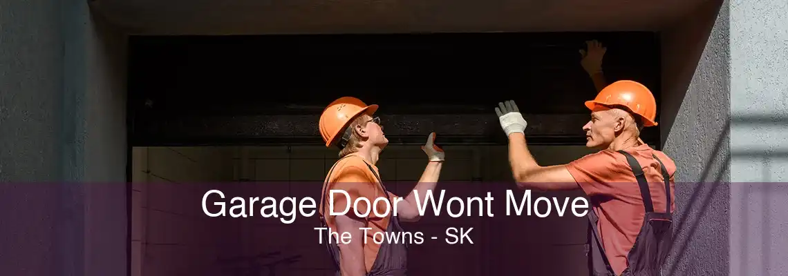 Garage Door Wont Move The Towns - SK