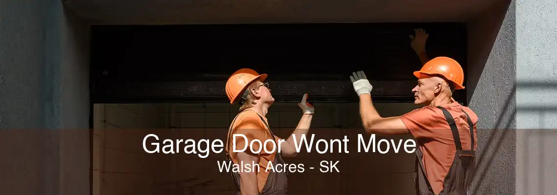 Garage Door Wont Move Walsh Acres - SK