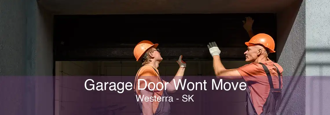 Garage Door Wont Move Westerra - SK