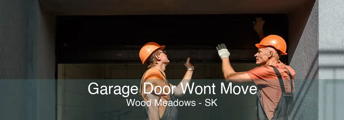 Garage Door Wont Move Wood Meadows - SK